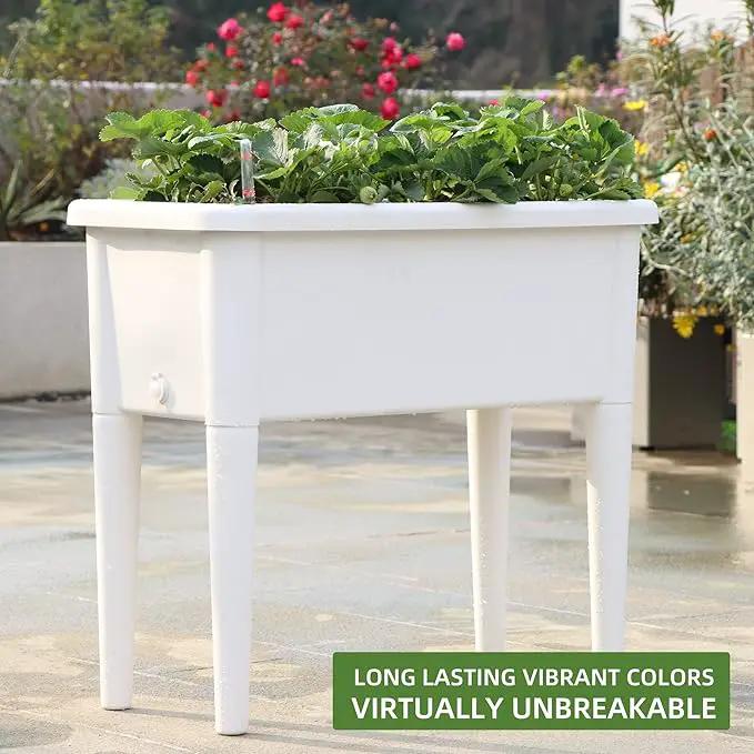 Dexceder 13.2 Gallon Self Watering Raised Garden Bed with Ventilation Transparent Lid Greenhouse, Deepen Vegetable Flower Box Planter Pot with Removeble Legs & Water Level Indicator (White) by GreenHaven Gardens