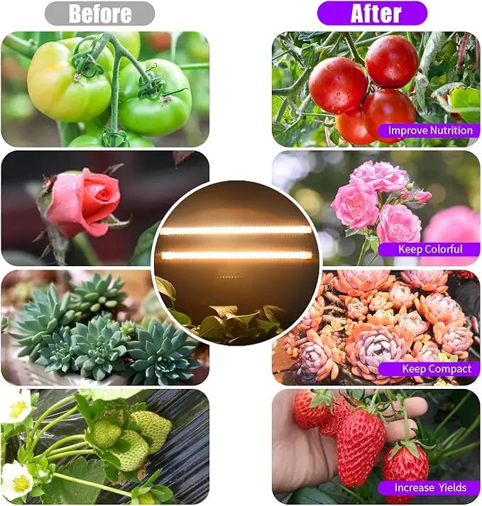 LED Grow Light Strips, Full Spectrum Plant Growing Lights for Indoor Plants 3000K, 144 LEDs Plant Lamp with 3/9/12H Timer, 10 Dimmable Levels, 3 Head 13 Inches (2 Strip 3 Pack 3000K) by GreenHaven Gardens