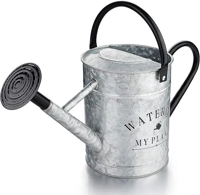 Galvanized Watering Can for Outdoor Indoor Plants, 1 Gallon Decorative Countryside Style Water Can with Removable Spout, Perfect Metal Watering Can for Indoor Plants and Garden Flower by GreenHaven Gardens