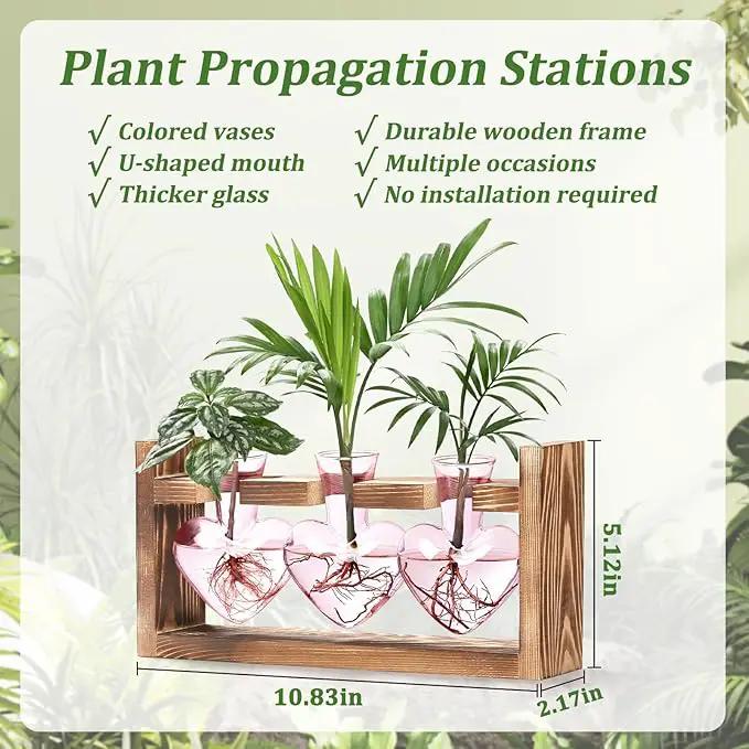 Lifecapido Heart Shaped Propagation Stations, Plant Terrarium with Wooden Stand, Plant Propagation Station for Hydroponics Plants Office Garden Home Decor, Gifts for Women Plant Lover (3 Vases, Pink) by GreenHaven Gardens