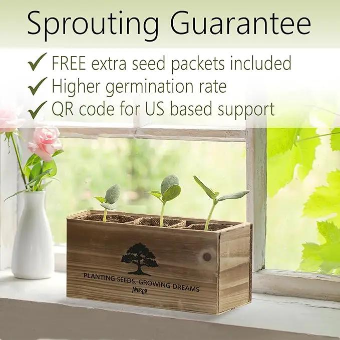 Bonsai Tree Kit – 3X Unique Japanese Bonzai Trees | Complete Indoor Starter Kit for Growing Bonsai Plants with Tools & Planters – Gardening Gifts for Women & Men by GreenHaven Gardens