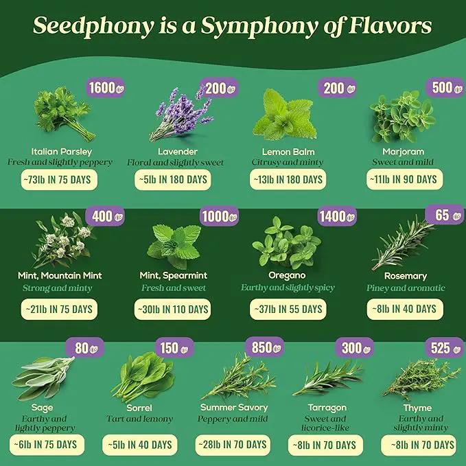 25 Culinary Classic Herb Seeds Variety Pack - 13,055+ Non-GMO Heirloom Herbs Seeds for Planting Indoor & Outdoor: Lavender, Rosemary, Dill, Mint, Catnip, Basil - Gardening Seeds Packets by GreenHaven Gardens