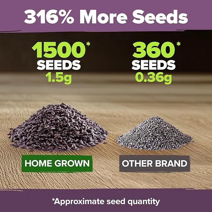 HOME GROWN 𝗨𝗦𝗔 𝗣𝗥𝗘𝗠𝗜𝗨𝗠 English Lavender Seeds 1,500+ 𝗡𝗢𝗡-𝗚𝗠𝗢 Wildflower Seed for Planting Indoor/Outdoor, High Germination, Plant Flower Seeds (Lavandula antustifolia)