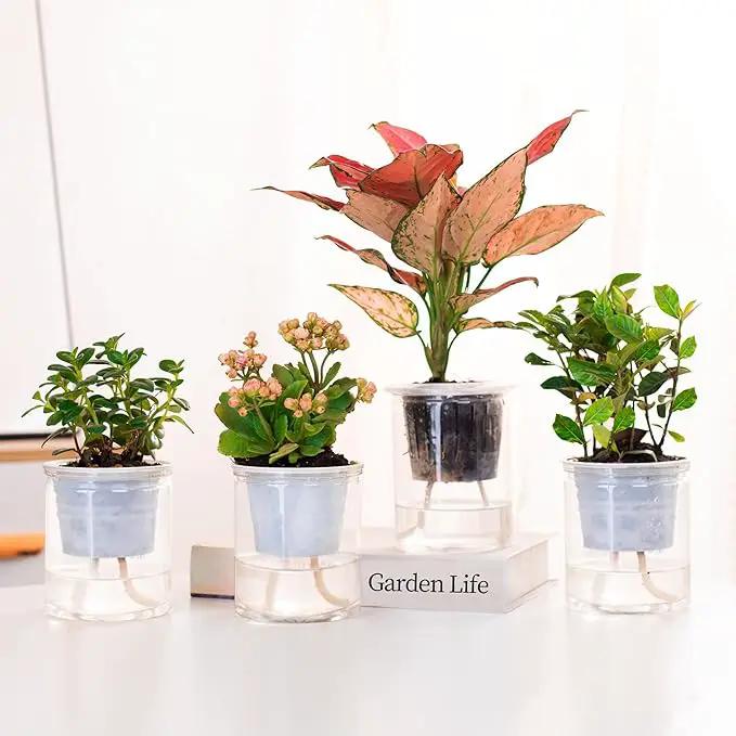 ORIMERC 200 feet 1/4 inch Self Watering Capillary Wick Cord Vacation Plant Sitter DIY Hydroponic Wicking Rope Seeds Start Planter Pot Automatic Potted Flower Passive Lazy Waterer String System Device by GreenHaven Gardens