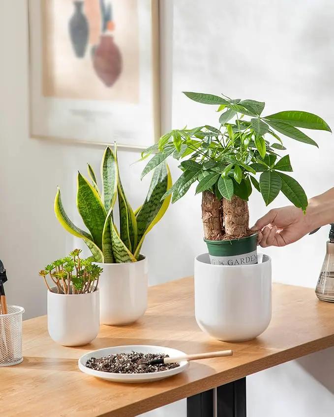 vancasso Ceramic Plant Pots, 4+5+6 inches, Set of 3, Planters with Drainage Hole, Flower Pots Planters Pots for Indoor Plants, Modern Indoor Decorative Garden Pot, Home Decor, White by GreenHaven Gardens