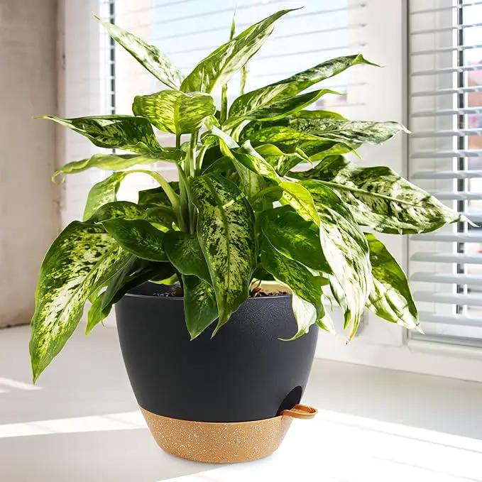 10/9/8 inch Medium Self Watering Pots, Planter, Plant Pots with Mesh Drainage Holes for Indoor Outdoor Garden Plants, Plastic Flower Pots with Removable Deep Reservoir, Black with Brown by GreenHaven Gardens