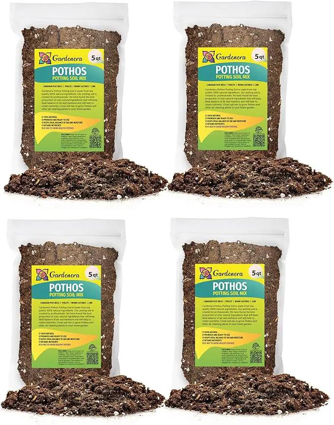 Premium Pothos Potting Soil Mix - Air Cleaning Plant Potting Mix, Soil Mix for Pothos, Parlor Palm, Peace Lily - (2 Quart Bag) by GreenHaven Gardens