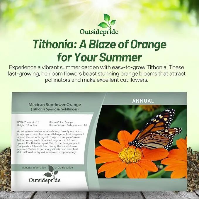 Outsidepride Goldfinger Mexican Sunflower Seeds - 1000 Pcs Annual, Easy-to-Grow, Orange Tithonia Speciosa Flower Seeds w/Drought-Tolerant Blooms for Pollinator Gardens & Vibrant Summer Landscaping by GreenHaven Gardens