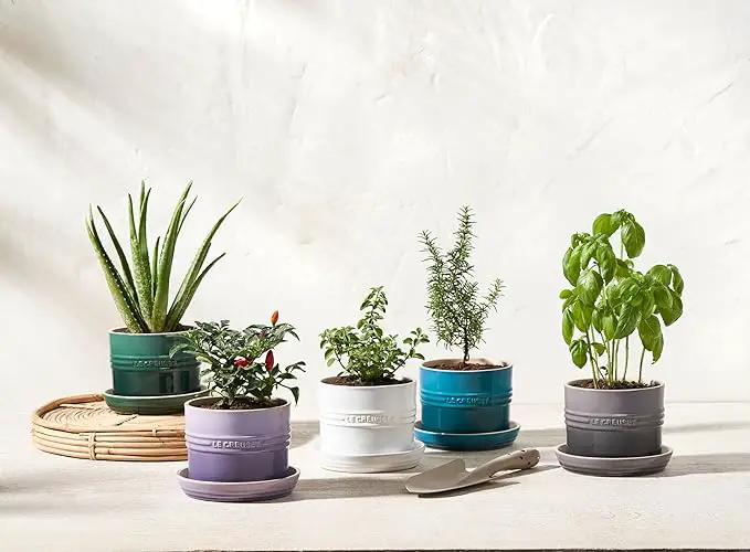 Le Creuset Stoneware Herb Planter, 5.5 Inches, Deep Teal by GreenHaven Gardens