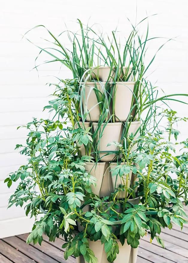 Greenstalk Patented Large 5 Tier Vertical Garden Planter with Patented Internal Watering System Great for Growing a Variety of Strawberries, Vegetables, Herbs, & Flowers (Stunning Stone) by GreenHaven Gardens