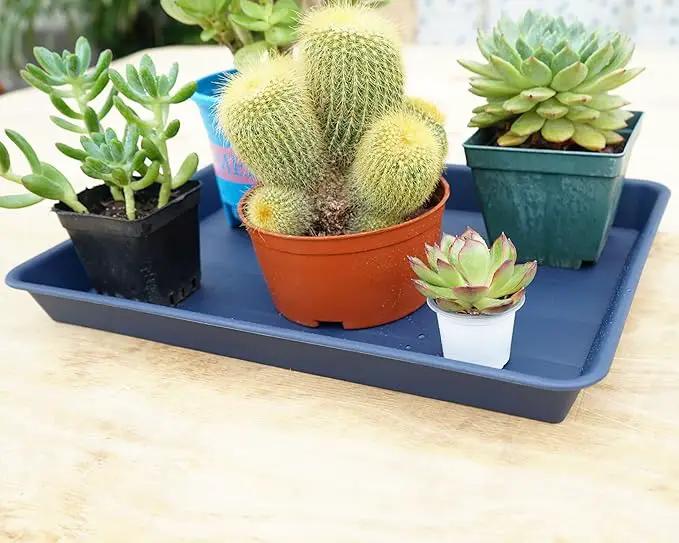 Plant Saucer Growing Tray, Seed Starter Tray Rectangular, Heavy Sturdy Plastic Plant Saucers Drainage Trays, Plant Drip Trays for Pots, Seed Starter Growing Tray (11 x 9 inch, 2 Pack) by GreenHaven Gardens