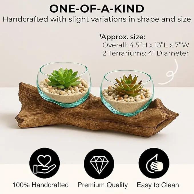 Cape Craftsmen Set of 2 Terrariums | Hand-Blown Blue Tinted Bubble Glass On Natural Teak Driftwood Terrarium | Home Décor Indoor Planter with Stand | Pot for Succulent and Plants by GreenHaven Gardens