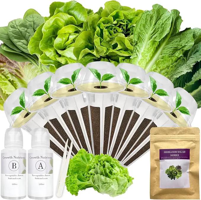 Salad Greens Seed Pod Kit for AeroGarden, iDoo, Ahopegarden, MUFGA with Red/Green Romain/American Fast/Buttercrunch/Parris Island Lettuce, Spinach - Compatible with All Garden(7-Pod) by GreenHaven Gardens