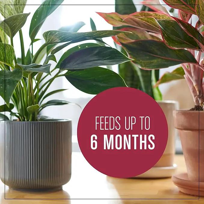 Miracle-Gro Houseplant Potting Mix, for Indoor Container Plants, Feeds for up to Six Months, 4 qt. (3-Pack) by GreenHaven Gardens