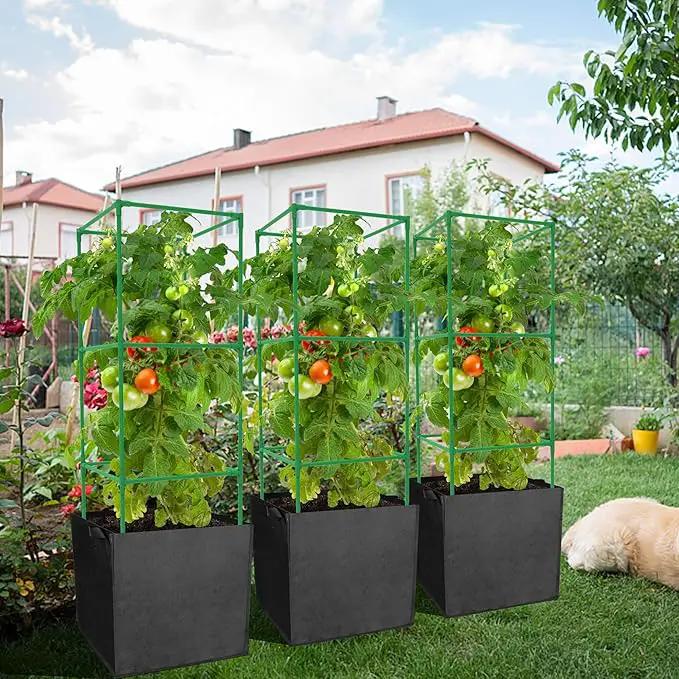 3 Packs 47 x 16 x 16 Inch Garden Tomato Cages with 17.7 Gallon Grow Bags- Square Plant Support Trellis Assembled with Planter Bags- Garden Cucumber Vegetables Frames for Vertical Climbing Plants by GreenHaven Gardens