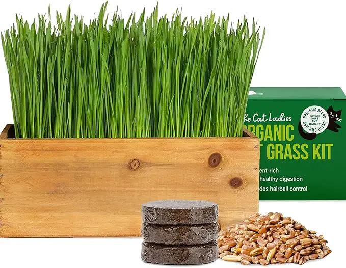 The Cat Ladies Cat Grass Kit (Organic) with Rustic Wood Planter, Seed and Soil. Easy to Grow for Indoor or Outdoor Cats, Dogs and Other Pets. Prevent Hairballs and Aid Digestion by GreenHaven Gardens