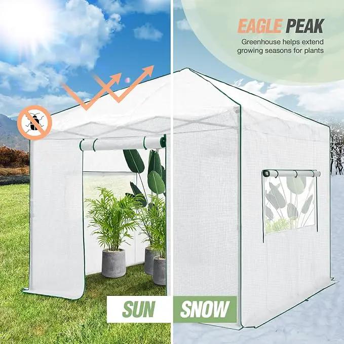 EAGLE PEAK 10x10 Portable Walk-in Greenhouse, Pop-up Indoor Outdoor Garden Green House, Zippered Doors and Windows, PE Cover, White by GreenHaven Gardens