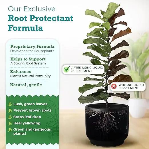Root Supplement, Liquid Root Stimulator - for Fiddle Leaf Fig & Indoor Plants - Propagation Promoter, Root Rot Treatment - Food for Healthy Roots, Stems, & Leaves - 8 Oz by GreenHaven Gardens