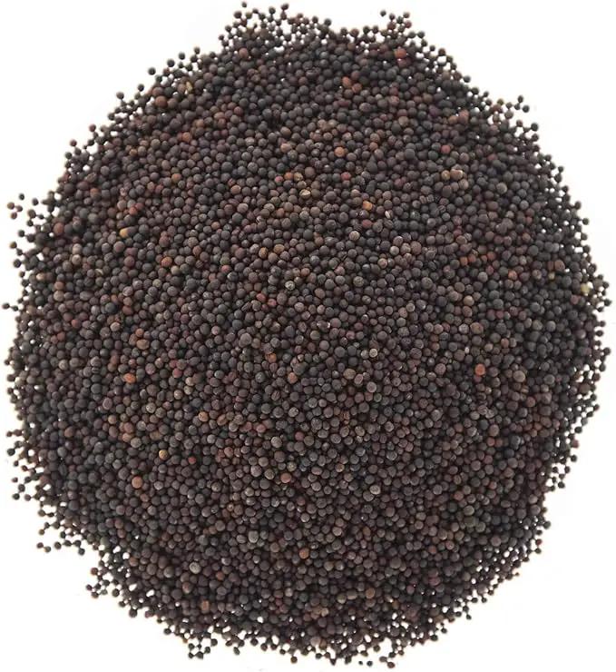 Broccoli Seeds for Sprouting & Microgreens | Waltham 29 Variety | Non GMO & Heirloom Seeds | Bulk 1 LB (16 oz) Resealable Bag | Rainbow Heirloom Seed Co. by GreenHaven Gardens
