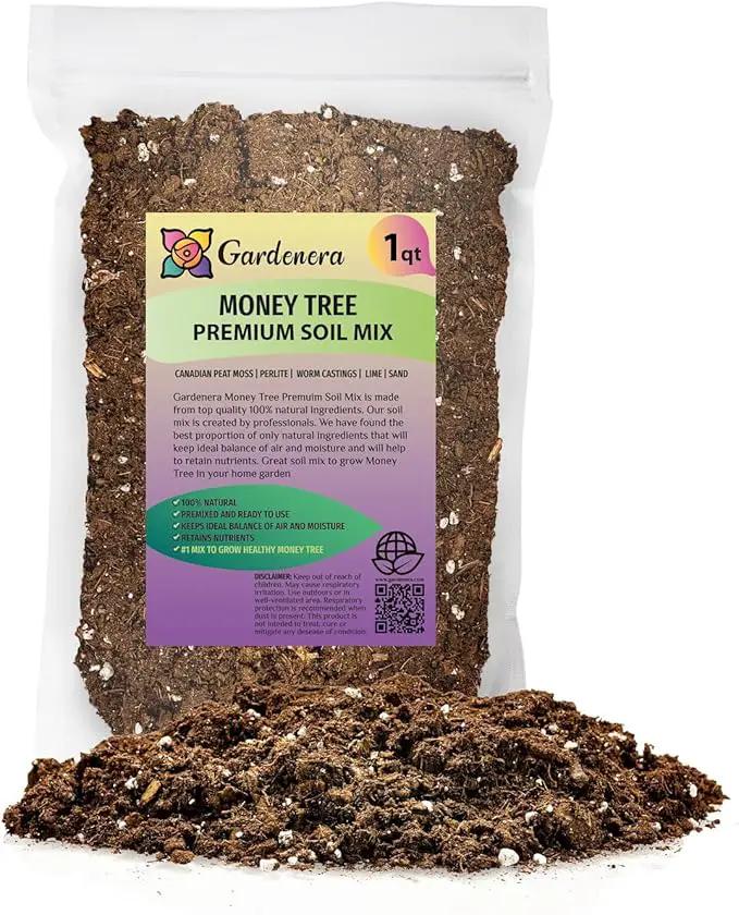 Money Tree Potting Soil, Soil Mix for Planting or Repotting Guiana Chestnut, Soil Blended to Properly Grow Money Tree Plants - (1 Quart Bag) by GreenHaven Gardens