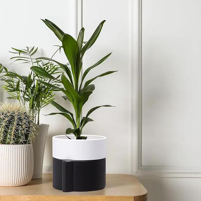 8 Inch Self-Watering Planter Pot with Terracotta Insert, Deep Water Reservoir, and Ceramic-Alike BPA-Free Plastic Planter Pot for Plant, Modern Planter for Houseplants, Black/White, 53-C-T-7 by GreenHaven Gardens