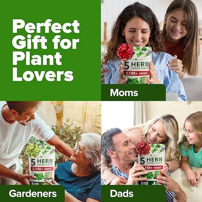 HOME GROWN 5 Herb Seeds for Planting 2,150+ Non-GMO Heirloom Seeds | Extra Large Variety Pack Herb Kit – Indoor Outdoor & Hydroponic | Culinary Seed Set | Grow Your Own Herbs | Gift for Beginners by GreenHaven Gardens