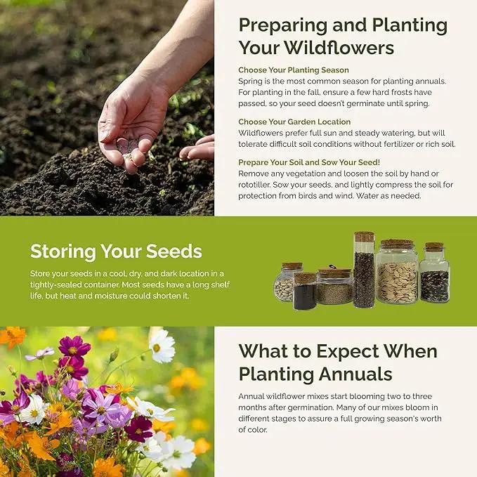 Eden Brothers All Annual Wildflower Mixed Seeds for Planting, 1/4 lb, 120,000+ Seeds with Sunflower, Indian Blanket, Scarlet Flax | Attracts Pollinators, Plant in Spring, Zones 3, 4, 5, 6, 7, 8, 9, 10 by GreenHaven Gardens