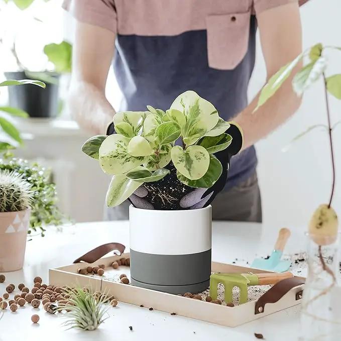 D'vine Dev 6 Inch Ceramic Planter Pot with Drainage Hole and Saucer, Indoor Cylinder Round Flower Pot, White/Speckled Grey, 94-O-C-6 by GreenHaven Gardens