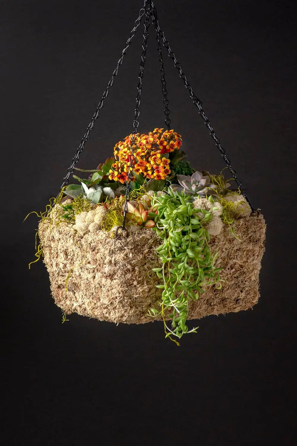 SuperMoss (29249D MossWeave Hanging Basket | Outdoor Hanging Planter with Moss | Decorative Plant Hanger for Porch, Balcony, Garden & Home Décor, Square, Small 10.5” D, Blond by GreenHaven Gardens