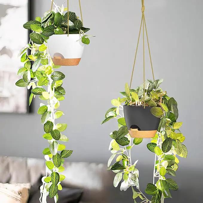 ZMTECH 6.5 Inch Hanging Planters for Indoor Outdoor Plants, 2 Pack Self Watering Hanging Plant Pots with Drainage Holes and Removable Saucer, Plastic Flower Hanging Pots with Watering Lip (White) by GreenHaven Gardens