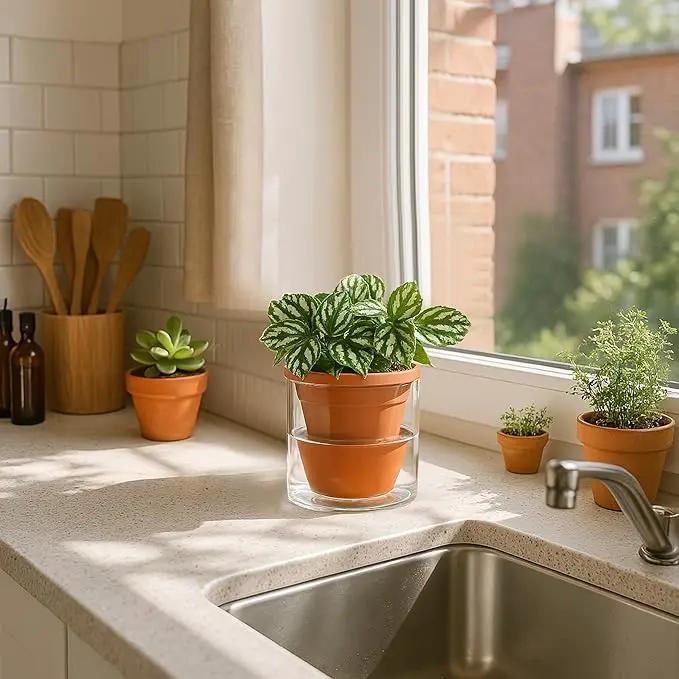D'vine Dev 4 Inch Design Self Watering Pot for Indoor Plants, Terracotta Planter with Cylinder Glass Cup, 37-X-A-1 by GreenHaven Gardens