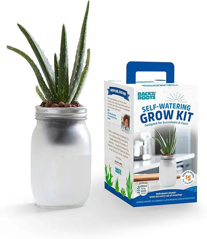 Back to the Roots Self Watering Grow Kit - Glass Hydroponic Planters for Succulents and Cacti - Hassle-Free Self-Watering System by GreenHaven Gardens