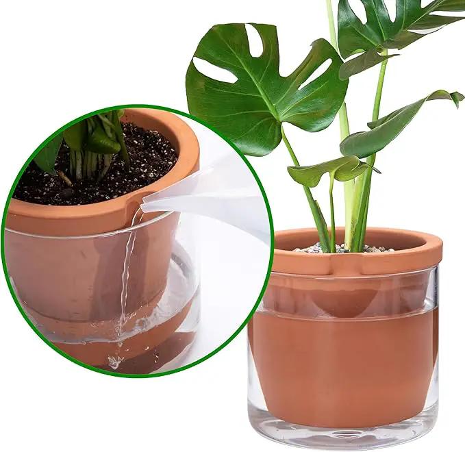 D'vine Dev 8 Inch Design Self Watering Pot for Indoor Plants, Terracotta Planter with Cylinder Glass Cup, Set of 1, 37-X-C-1 by GreenHaven Gardens