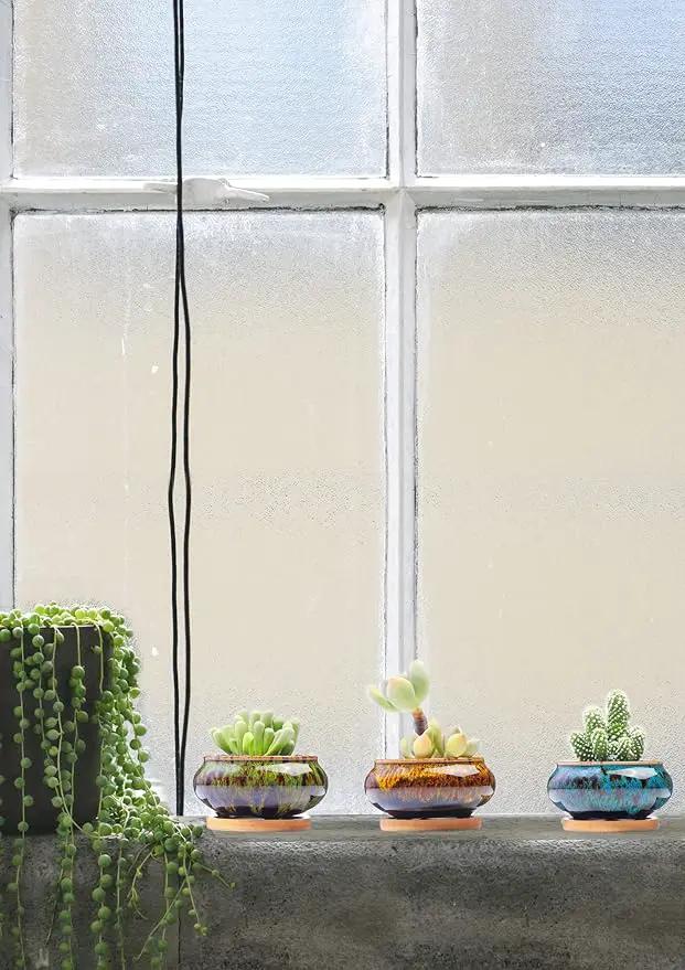 Cute Ceramic Succulent Garden Pots, Planter with Drainage and Attached Saucer, Set of 5 -Plants Not Included (Burner) by GreenHaven Gardens