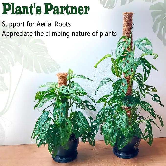 2 Pack 17 Inch Moss Pole, Stackable Moss Poles for Climbing Plants Monstera, Tall Plant Sticks Accessories, Large Coir Plant Support Stakes for Potted Plants Indoor, Pothos, Philodendron by GreenHaven Gardens