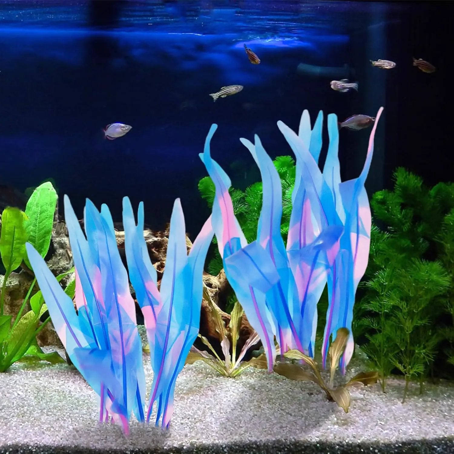 Kaiyuan Dynasty 2pc Silicone Aquarium Plants Artificial Plants for Fish Tank Glowing Kelp Aquarium Plant Decor Fish Tank Plants Simulation Artificial Water Grass,7inch,Blue by GreenHaven Gardens