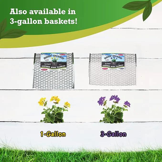 Digger’s 1-Gallon Heavy-Duty Wire Basket - Gopher Wire Basket for Perennials & Vegetables (12 Baskets) by GreenHaven Gardens