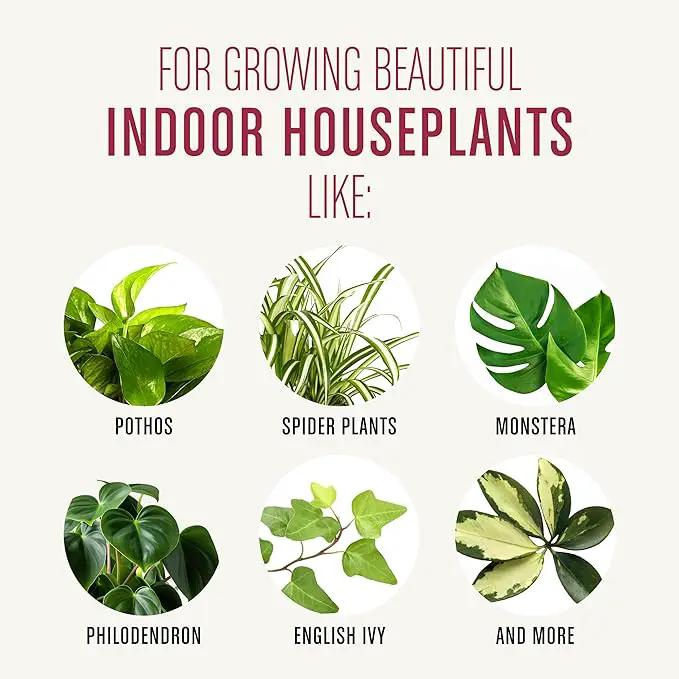 Miracle-Gro Houseplant Potting Mix, for Indoor Container Plants, Feeds for up to Six Months, 4 qt. (3-Pack) by GreenHaven Gardens