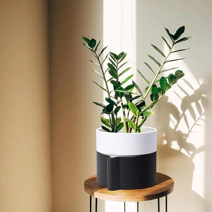 Phoenix Vine 6.5 Inch Self-Watering Planter Pot with Terracotta Insert, Deep Water Reservoir, and Ceramic-Alike BPA-Free Plastic Pot for Plant, Modern Planter for Houseplants, Black/White, 53-C-S-7 by GreenHaven Gardens