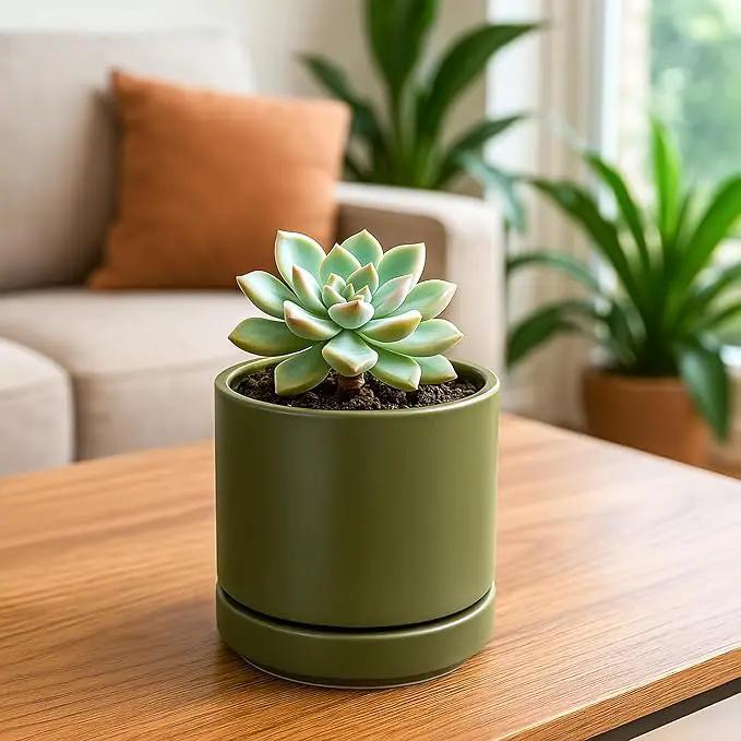D'vine Dev Set of 2 Plants Pots, 4.7 Inch Ceramic Planter Pot for Plants with Drainage Hole and Saucer, Olive, 94-V-B-J by GreenHaven Gardens