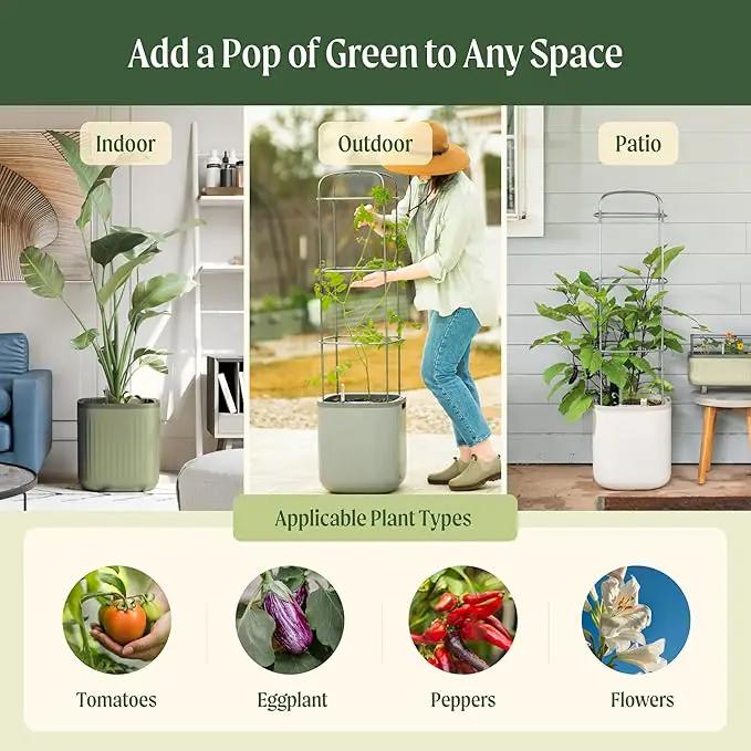 Vego garden Self Watering Pots Home Planters with Water Gauge for Effortless Indoor Plants Cream White by GreenHaven Gardens