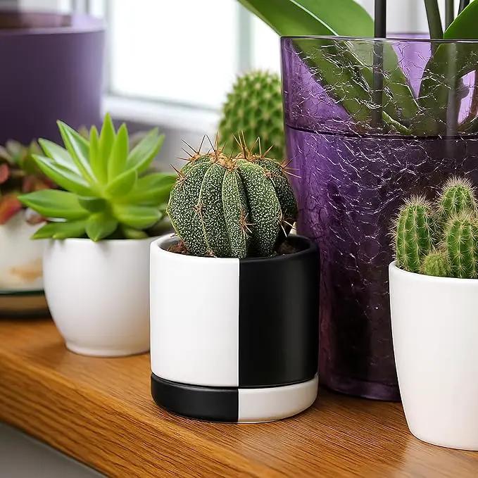 D'vine Dev 3.5 Inch Ceramic Planter Pot with Drainage Hole and Saucer, Indoor Cylinder Round Planter Pot, Split Monochrome Black & White, 94-O-A-0 by GreenHaven Gardens