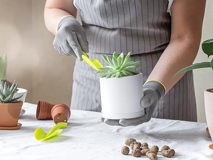 D'vine Dev 2 Pack 4 Inch Modern Plastic Plant Pots, Small Garden Planters for Plant with Drainage Holes and Saucers, White Color, 74-Z-E-1 by GreenHaven Gardens