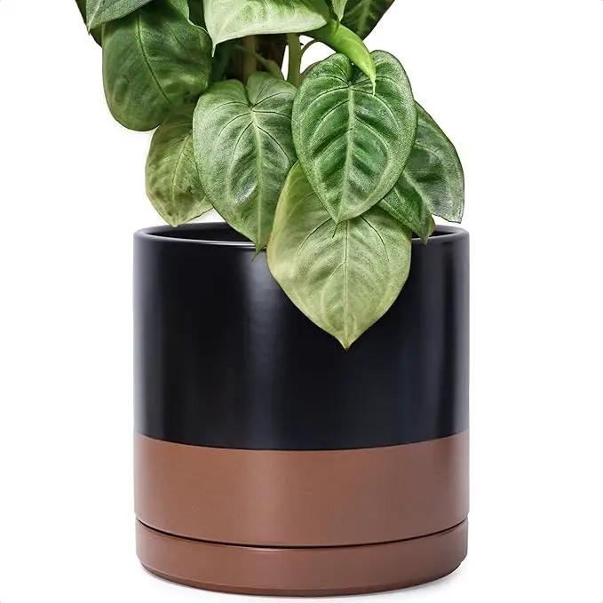 D'vine Dev 12 Inch Ceramic Planter Pot with Drainage Hole and Saucer, Indoor Cylinder Round Planter Pot, Black/Speckled Tan, 94-O-F-7 by GreenHaven Gardens