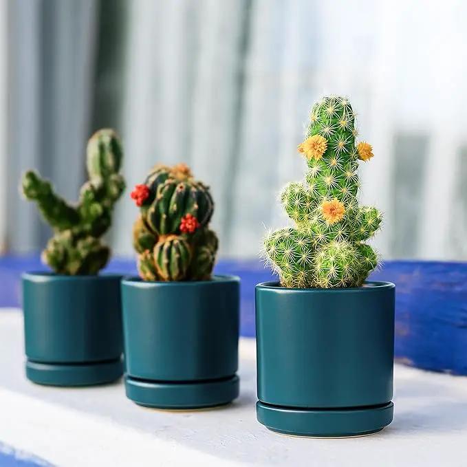 D'vine Dev 3.5 Inch & 4.7 Inch Ceramic Planter Pots for Plants with Drainage Hole and Saucer, X-Small Plant Pots Set, Teal, 94-G-XS-9 by GreenHaven Gardens