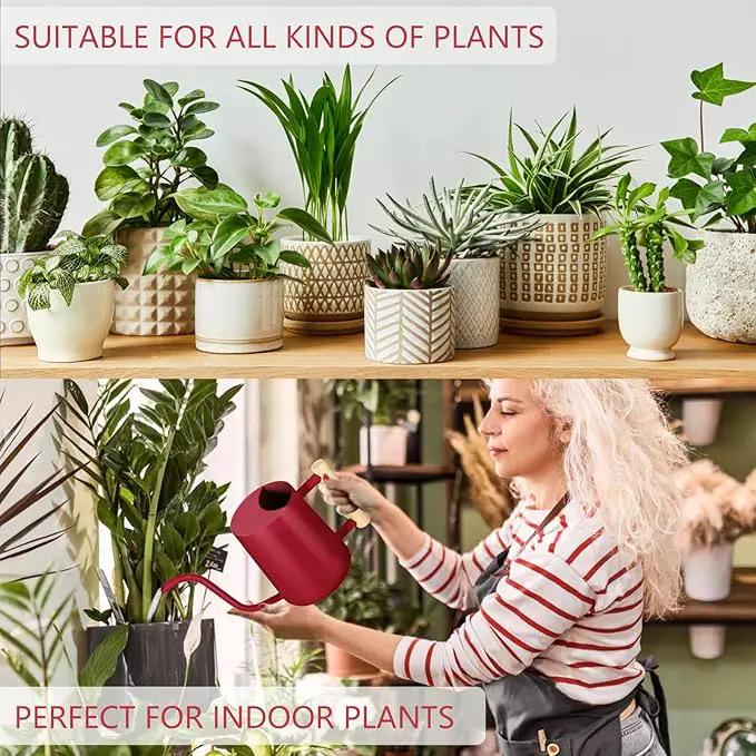 Watering Can Indoor Plants, 35oz Small Stainless Steel Metal Watering Can Modern Decorative Watering Pot with Long Spout for Indoor House Plant Bonsai Garden Flowers (Red) by GreenHaven Gardens