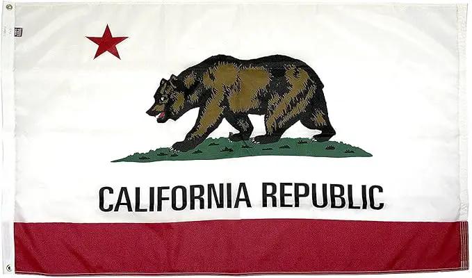 FlagSource California Nylon State Flag, Made in the USA, 4x6' by GreenHaven Gardens