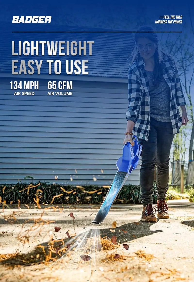 WILD BADGER POWER 20V Weed Wacker & Leaf Blower, Electric with 2 * 2Ah Battery & Charger, String Trimmer, Lightweight, Adjustable Telescopic Shaft, Easy to Use by GreenHaven Gardens