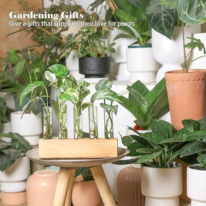 KAXYEW Plant Propagation Station, Plants Propagation Tubes, Gifts for Plant Lovers, Plants Cutting Holder Test Tube Vase Office Desk Garden Décor Gift for Her Mom Women Hydroponic Vase Gift Box by GreenHaven Gardens