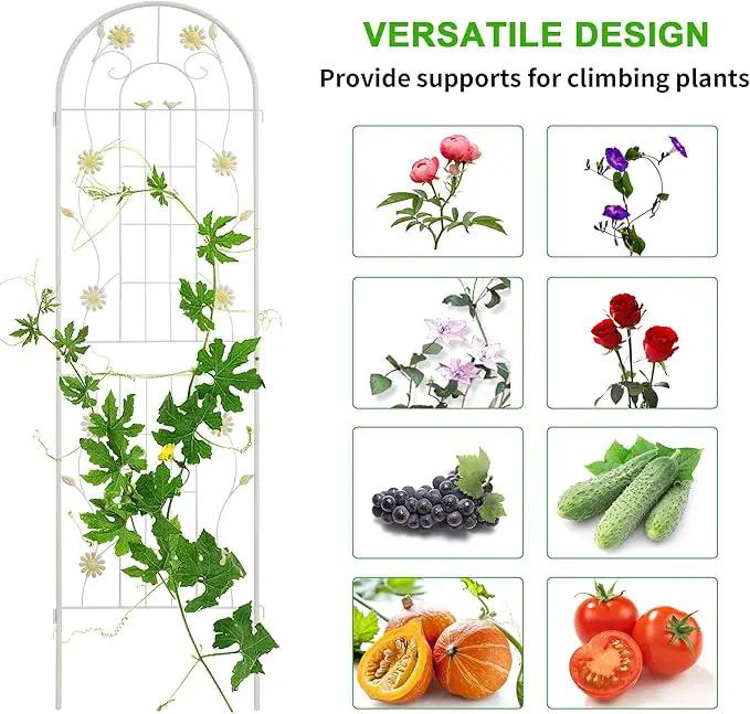 LZRS 4 Pack 71x20in Rustic Iron Arch Decoration Garden Trellis with Black Metal Coating – Perfect for Supporting Climbing Plants Outdoor, Roses, Vines, Flowers, and Vegetables. by GreenHaven Gardens